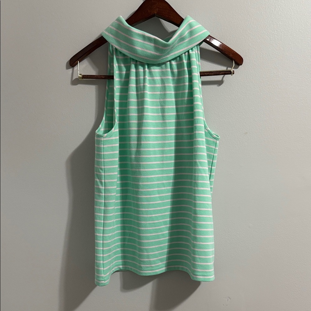 Sail to Sable Mint and Pink Striped Cowl Neck Top